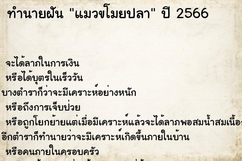 ทำนายฝัน แมวขโมยปลา ทำนายฝัน แมวขโมยปลา