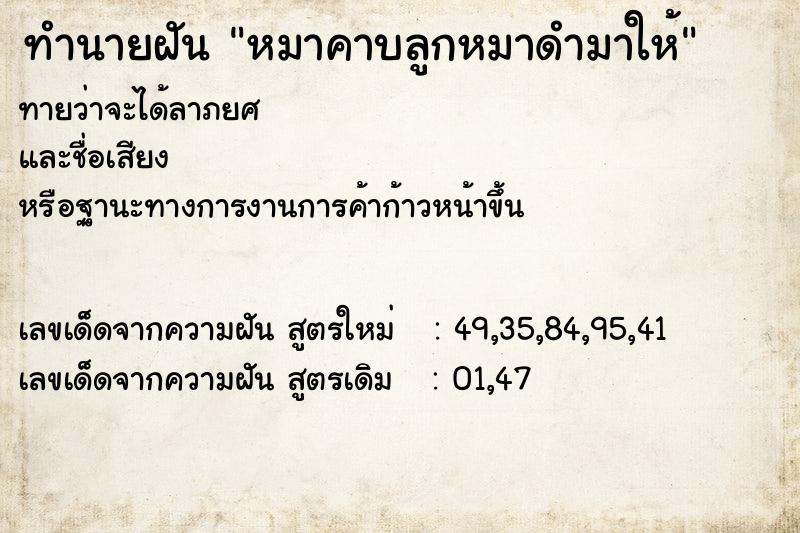 ทำนายฝันหมาคาบลูกหมาดำมาให้ ทำนายฝันทำนายฝันหมาคาบลูกหมาดำมาให้