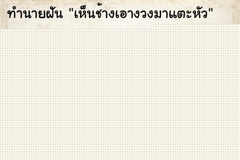 ทำนายฝัน เห็นช้างเอางวงมาแตะหัว ทำนายฝัน เห็นช้างเอางวงมาแตะหัว