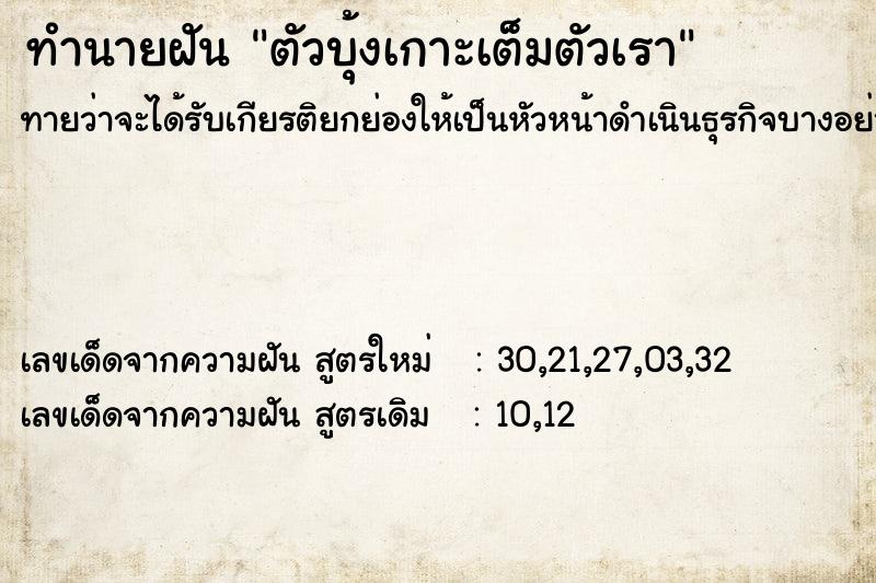 ทำนายฝันทำนายฝันตัวบุ้งเกาะเต็มตัวเรา