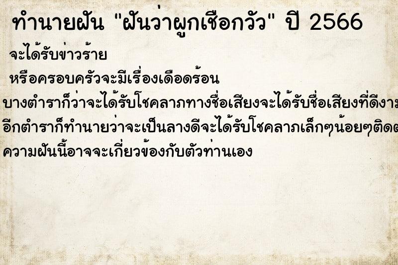 ทำนายฝันทำนายฝันฝันว่าผูกเชือกวัว