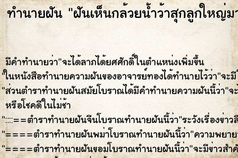 ทำนายฝันฝันเห็นกล้วยน้ำว้าสุกลูกใหญ่มาก ทำนายฝันทำนายฝันฝันเห็นกล้วยน้ำว้าสุกลูกใหญ่มาก