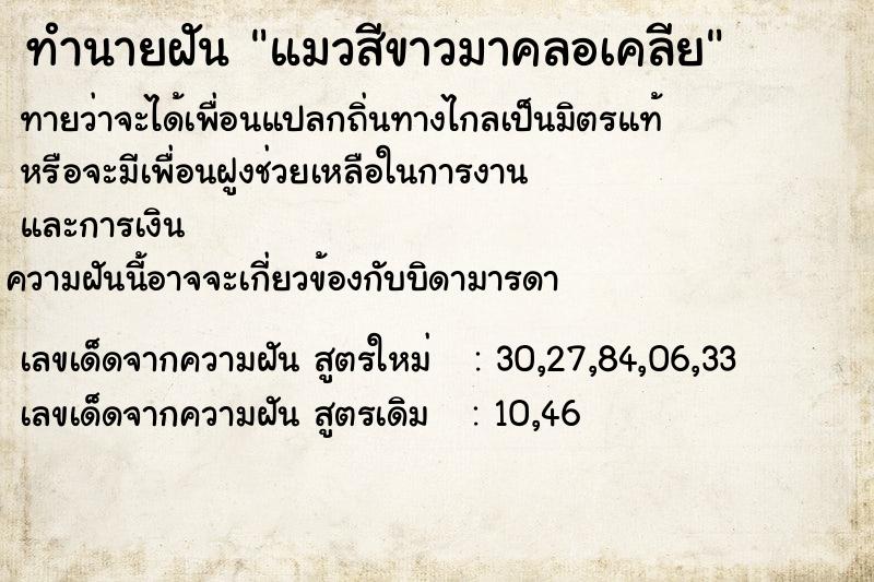 ทำนายฝันทำนายฝันแมวสีขาวมาคลอเคลีย