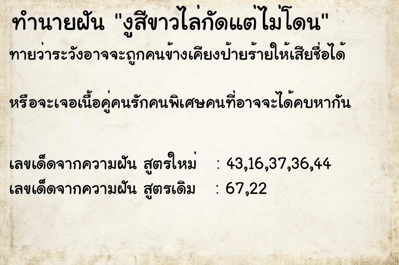 ทำนายฝันงูสีขาวไล่กัดแต่ไม่โดน ทำนายฝันทำนายฝันงูสีขาวไล่กัดแต่ไม่โดน