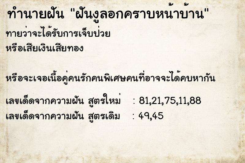 ทำนายฝันฝันงูลอกคราบหน้าบ้าน ทำนายฝันทำนายฝันฝันงูลอกคราบหน้าบ้าน