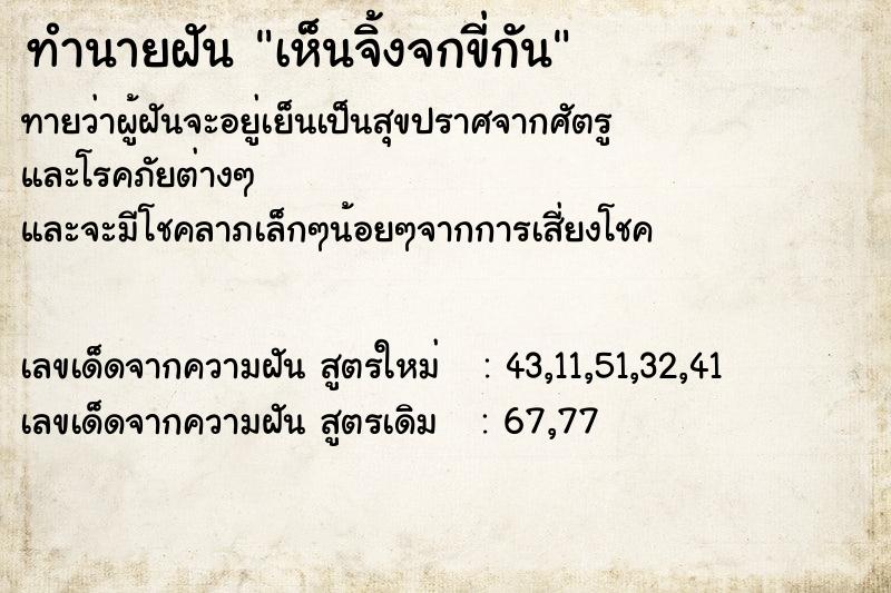 ทำนายฝันเห็นจิ้งจกขี่กัน ทำนายฝันทำนายฝันเห็นจิ้งจกขี่กัน