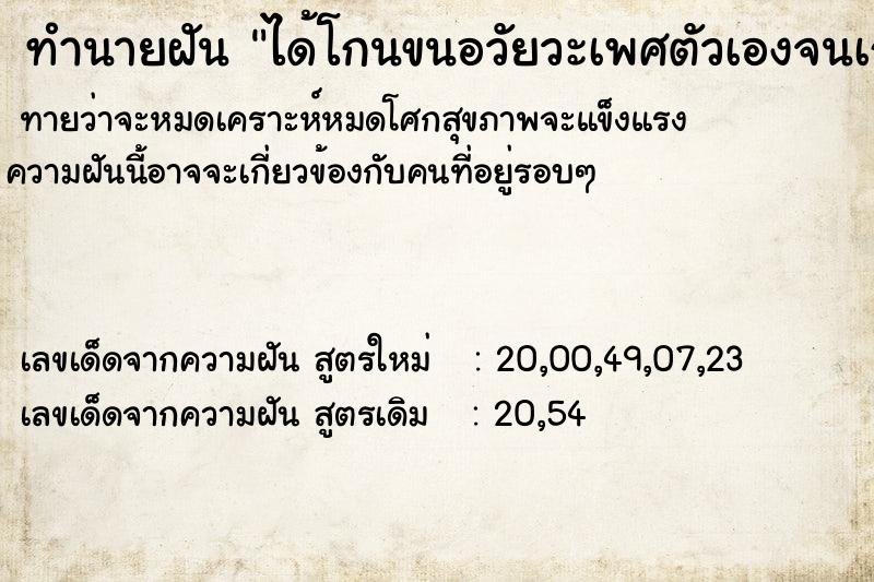 ทำนายฝันได้โกนขนอวัยวะเพศตัวเองจนเกลี้ยง ทำนายฝันทำนายฝันได้โกนขนอวัยวะเพศตัวเองจนเกลี้ยง