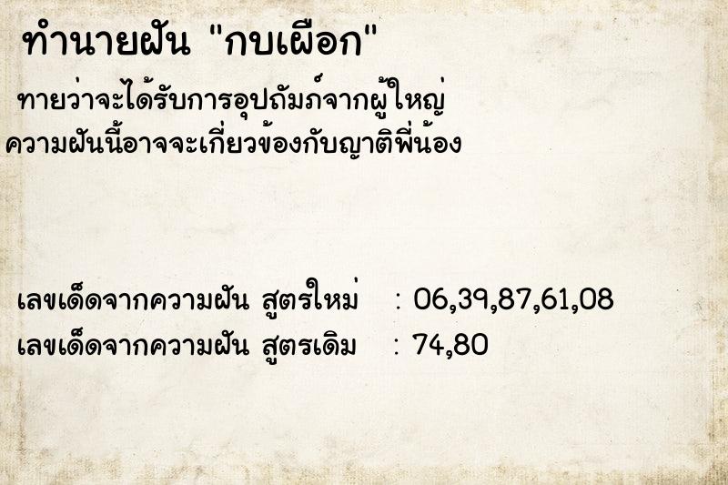 ทำนายฝัน กบเผือก ทำนายฝัน กบเผือก