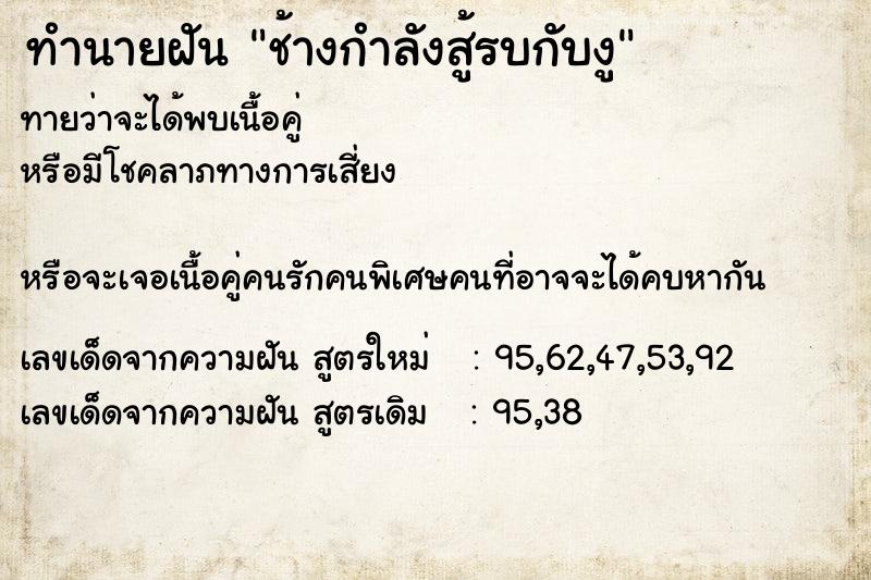 ทำนายฝันช้างกำลังสู้รบกับงู ทำนายฝันทำนายฝันช้างกำลังสู้รบกับงู
