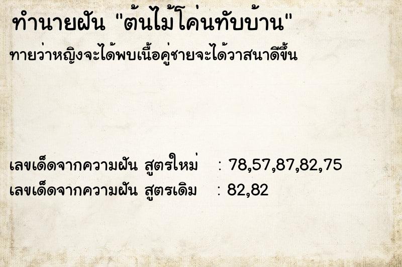 ทำนายฝันทำนายฝันต้นไม้โค่นทับบ้าน