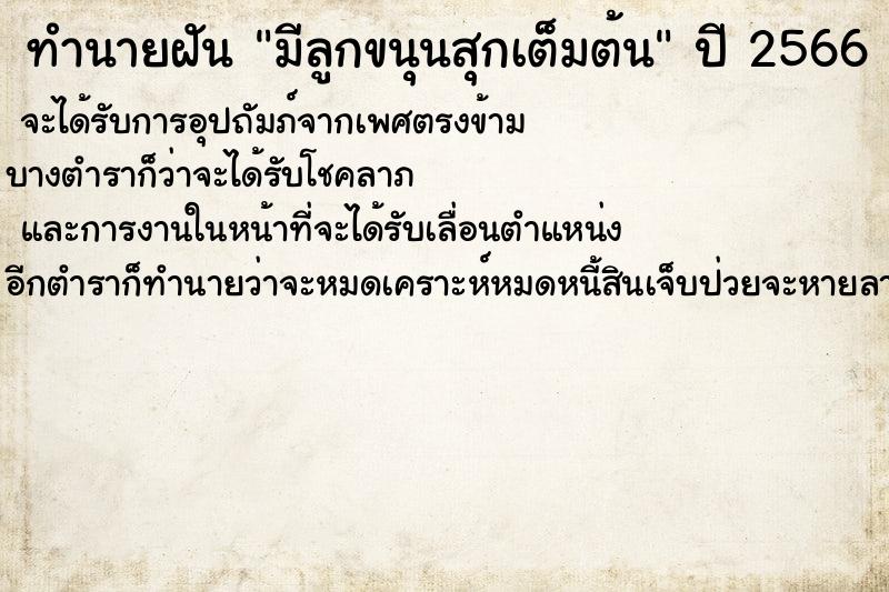 ทำนายฝันมีลูกขนุนสุกเต็มต้น ทำนายฝันทำนายฝันมีลูกขนุนสุกเต็มต้น