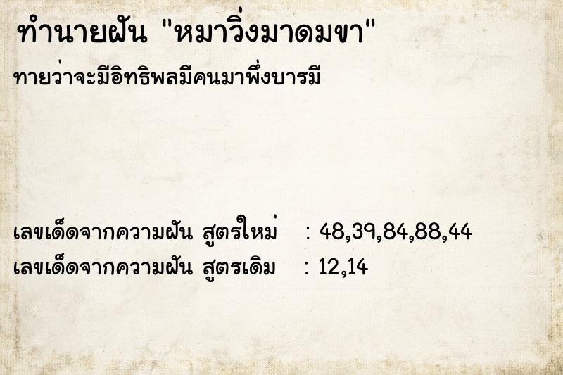 ทำนายฝัน หมาวิ่งมาดมขา ตำราโบราณ แม่นที่สุดในโลก