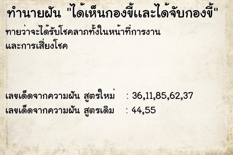 ทำนายฝันทำนายฝันได้เห็นกองขี้เเละได้จับกองขี้