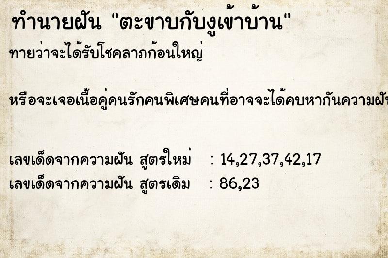 ทำนายฝัน ตะขาบกับงูเข้าบ้าน ทำนายฝัน ตะขาบกับงูเข้าบ้าน