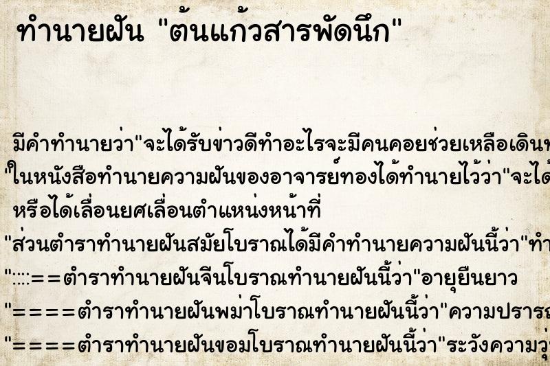 ทำนายฝัน ต้นแก้วสารพัดนึก