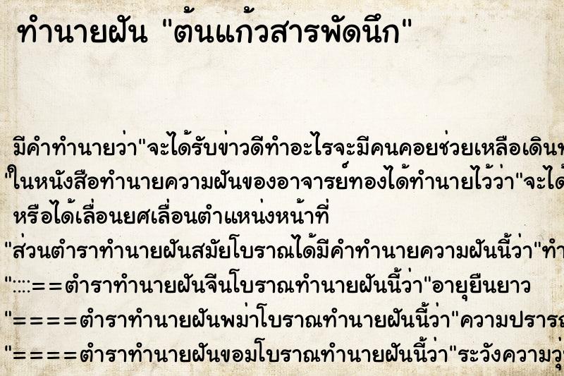 ทำนายฝัน ต้นแก้วสารพัดนึก ตำราโบราณ แม่นที่สุดในโลก