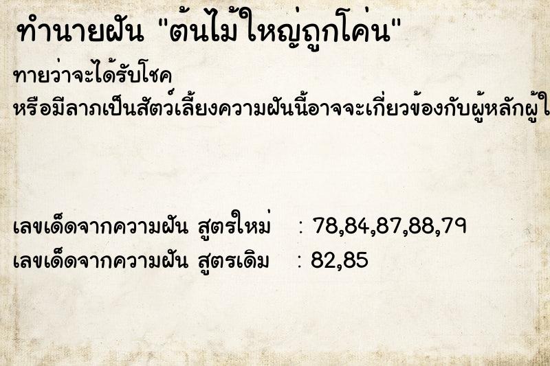 ทำนายฝันทำนายฝันต้นไม้ใหญ่ถูกโค่น