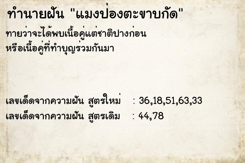 ทำนายฝันทำนายฝันแมงป่องตะขาบกัด