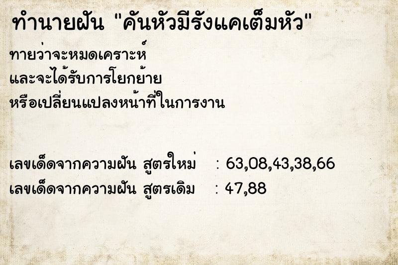 ทำนายฝันทำนายฝันคันหัวมีรังแคเต็มหัว