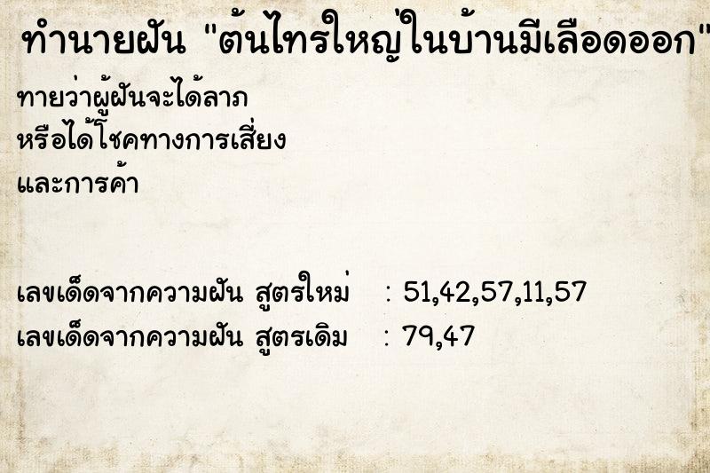 ทำนายฝันทำนายฝันต้นไทรใหญ่ในบ้านมีเลือดออก