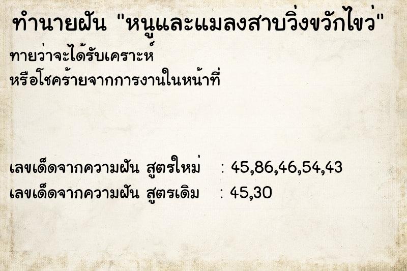 ทำนายฝันหนูและแมลงสาบวิ่งขวักไขว่ ทำนายฝันทำนายฝันหนูและแมลงสาบวิ่งขวักไขว่