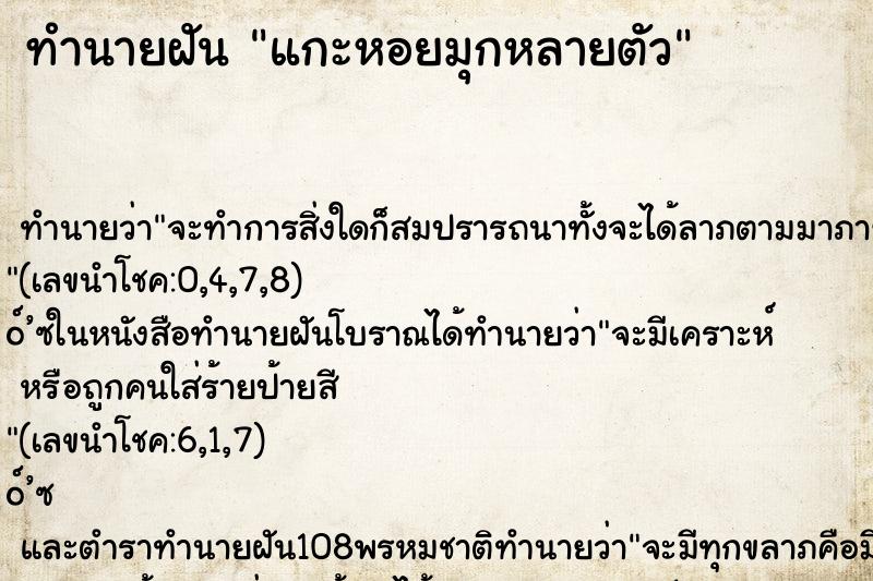 ทำนายฝัน แกะหอยมุกหลายตัว ทำนายฝัน แกะหอยมุกหลายตัว