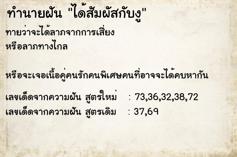 ทำนายฝันทำนายฝันได้สัมผัสกับงู