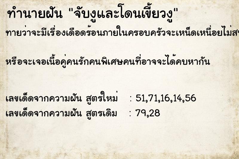 ทำนายฝันทำนายฝันจับงูและโดนเขี้ยวงู