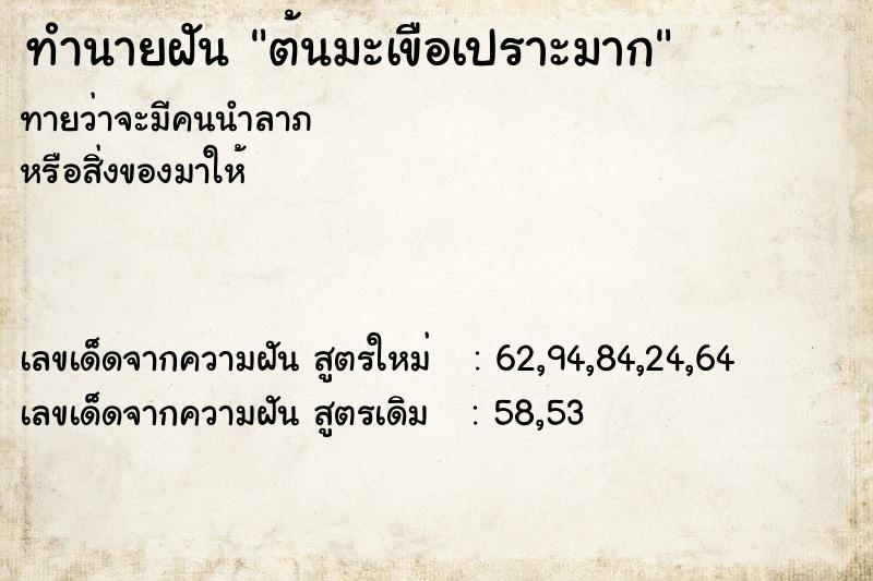 ทำนายฝันต้นมะเขือเปราะมาก ทำนายฝันทำนายฝันต้นมะเขือเปราะมาก