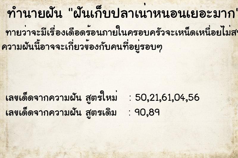 ทำนายฝันฝันเก็บปลาเน่าหนอนเยอะมาก ทำนายฝันทำนายฝันฝันเก็บปลาเน่าหนอนเยอะมาก