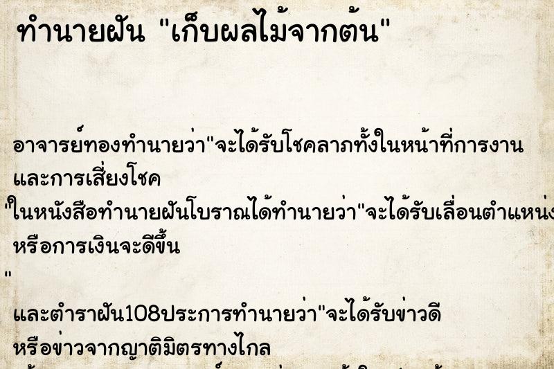 ทำนายฝัน เก็บผลไม้จากต้น ทำนายฝัน เก็บผลไม้จากต้น