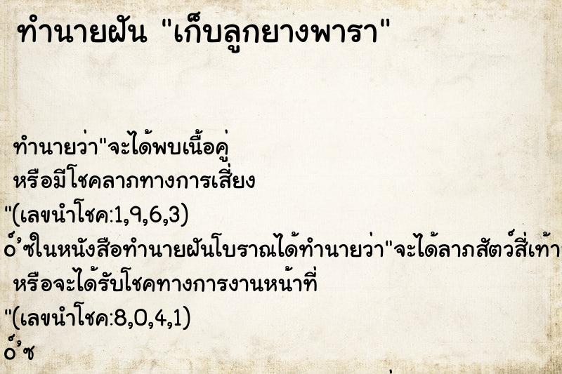 ทำนายฝัน เก็บลูกยางพารา