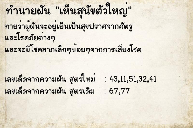 ทำนายฝัน เห็นสุนัขตัวใหญ่ ทำนายฝัน เห็นสุนัขตัวใหญ่
