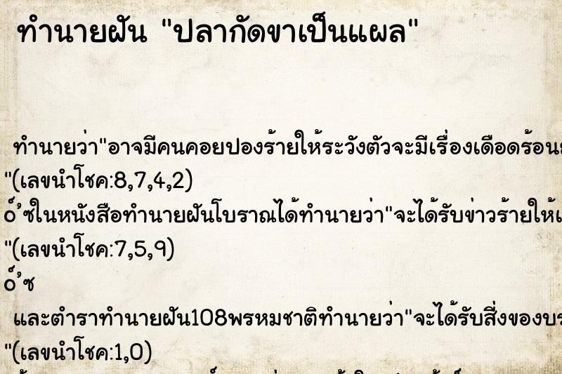 ทำนายฝันปลากัดขาเป็นแผล ทำนายฝันทำนายฝันปลากัดขาเป็นแผล