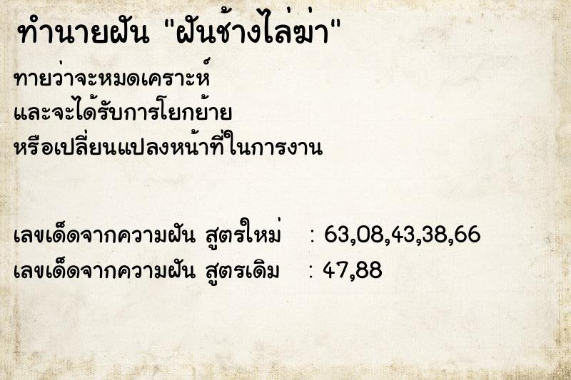ทำนายฝันฝันช้างไล่ฆ่า ทำนายฝันทำนายฝันฝันช้างไล่ฆ่า
