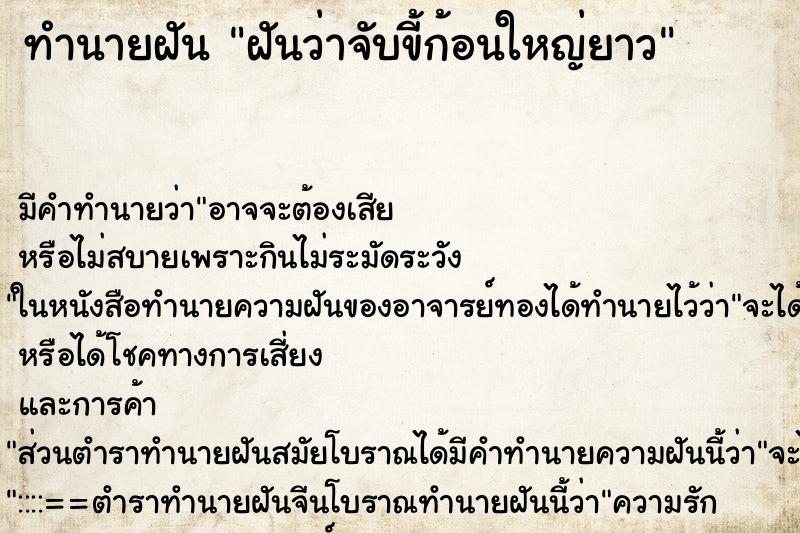 ทำนายฝัน ฝันว่าจับขี้ก้อนใหญ่ยาว ทำนายฝัน ฝันว่าจับขี้ก้อนใหญ่ยาว