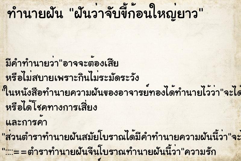 ทำนายฝัน ฝันว่าจับขี้ก้อนใหญ่ยาว ตำราโบราณ แม่นที่สุดในโลก