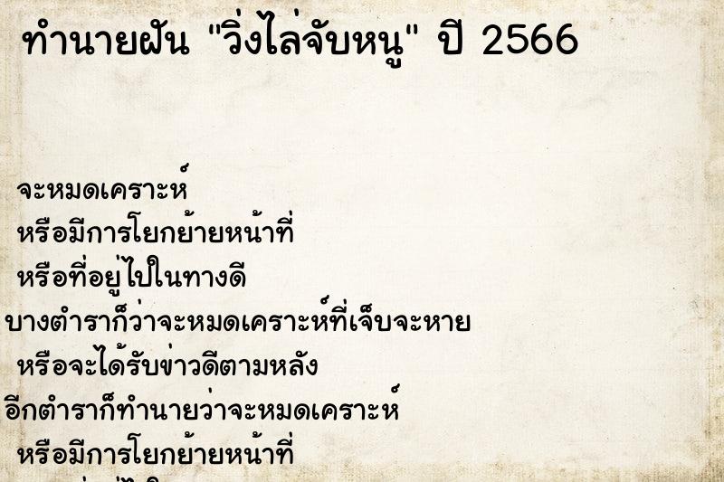 ทำนายฝัน วิ่งไล่จับหนู ทำนายฝัน วิ่งไล่จับหนู