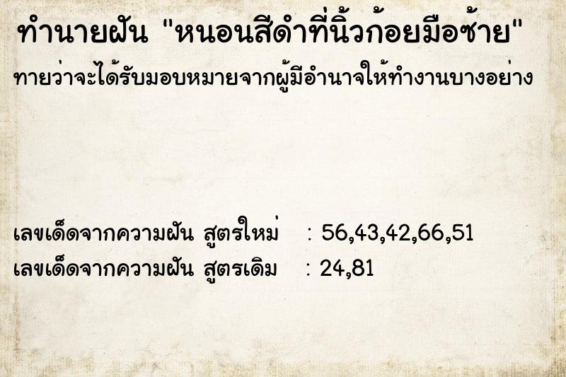 ทำนายฝัน หนอนสีดำที่นิ้วก้อยมือซ้าย ทำนายฝัน หนอนสีดำที่นิ้วก้อยมือซ้าย