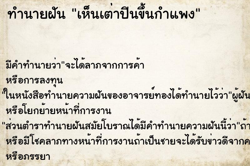 ทำนายฝันเห็นเต่าปีนขึ้นกำแพง ทำนายฝันทำนายฝันเห็นเต่าปีนขึ้นกำแพง