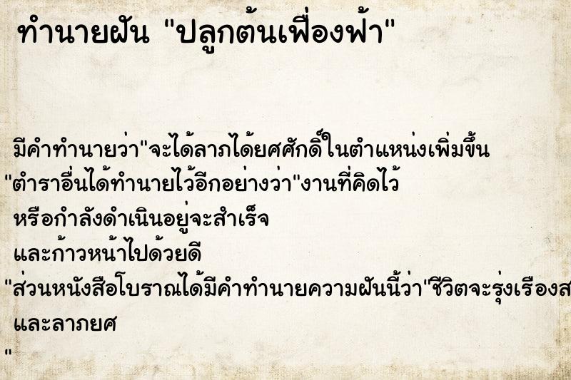 ทำนายฝันปลูกต้นเฟื่องฟ้า ทำนายฝันทำนายฝันปลูกต้นเฟื่องฟ้า