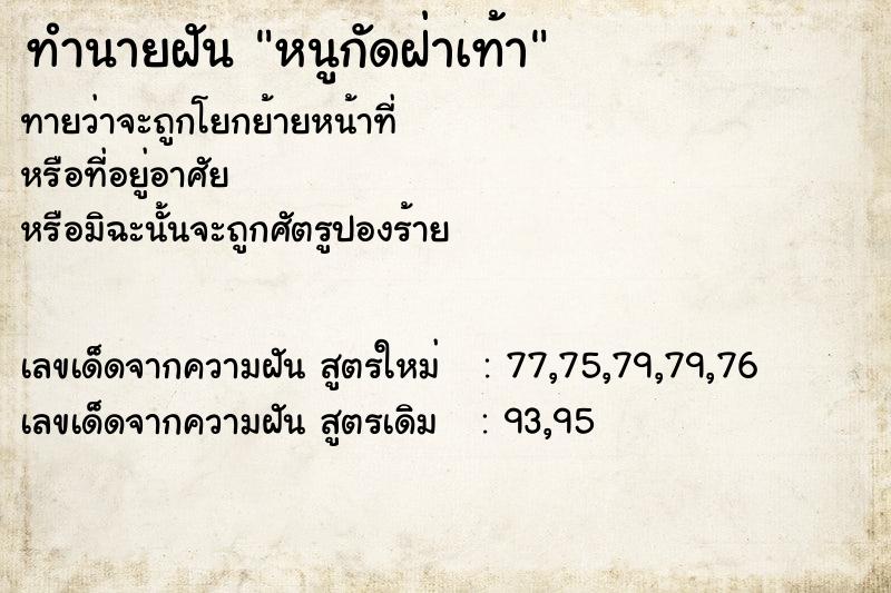 ทำนายฝันหนูกัดฝ่าเท้า ทำนายฝันทำนายฝันหนูกัดฝ่าเท้า