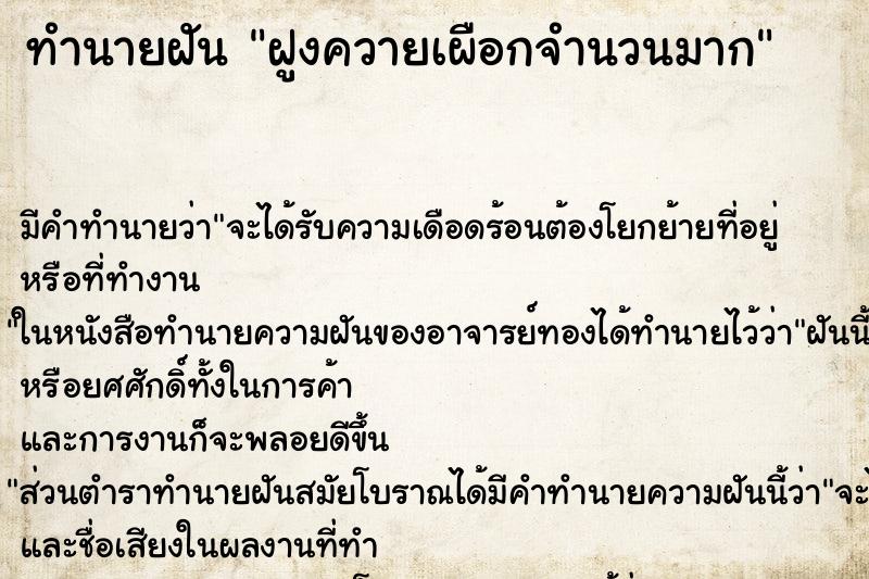 ทำนายฝัน ฝูงควายเผือกจำนวนมาก ทำนายฝัน ฝูงควายเผือกจำนวนมาก
