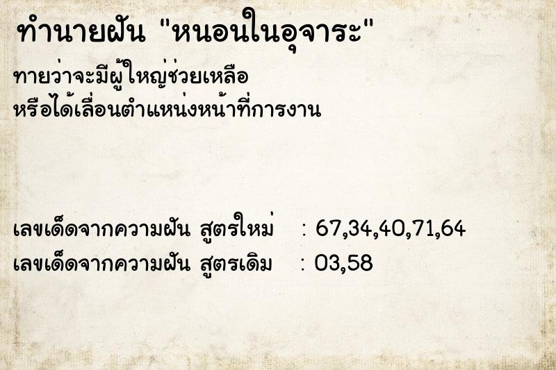 ทำนายฝันหนอนในอุจาระ ทำนายฝันทำนายฝันหนอนในอุจาระ