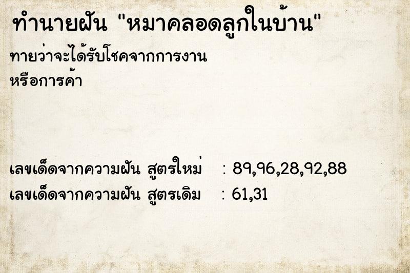 ทำนายฝัน หมาคลอดลูกในบ้าน