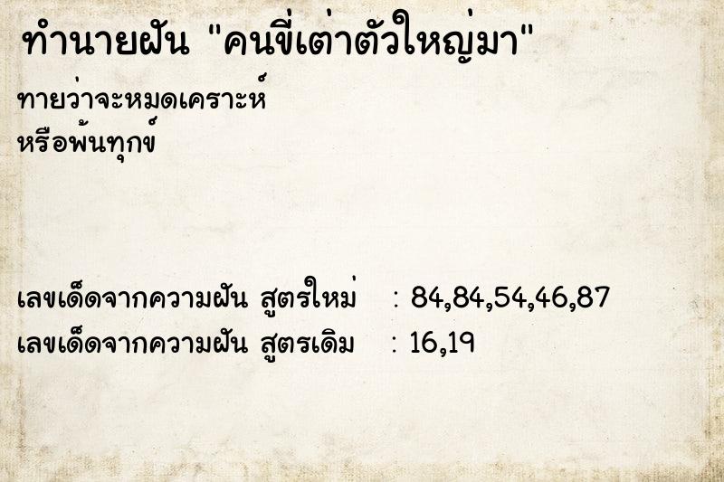 ทำนายฝันคนขี่เต่าตัวใหญ่มา ทำนายฝันทำนายฝันคนขี่เต่าตัวใหญ่มา