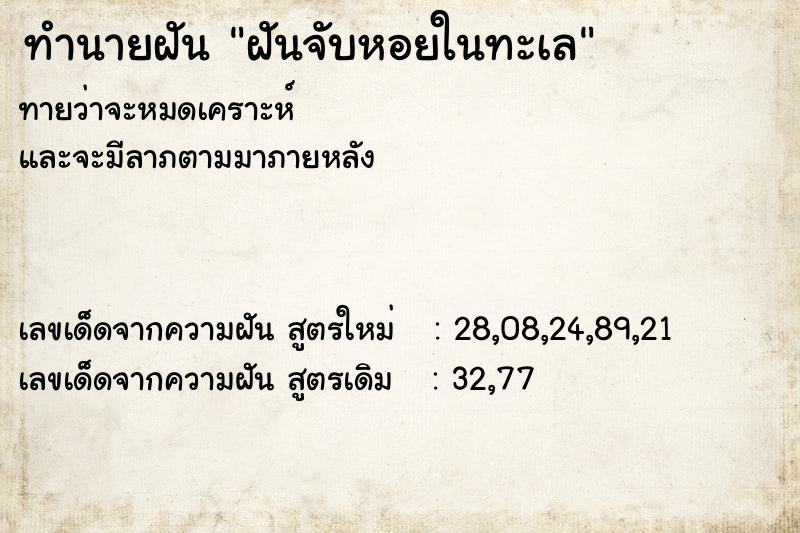 ทำนายฝันฝันจับหอยในทะเล ทำนายฝันทำนายฝันฝันจับหอยในทะเล