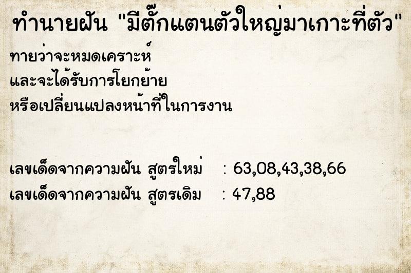 ทำนายฝันมีตั๊กแตนตัวใหญ่มาเกาะที่ตัว ทำนายฝันทำนายฝันมีตั๊กแตนตัวใหญ่มาเกาะที่ตัว