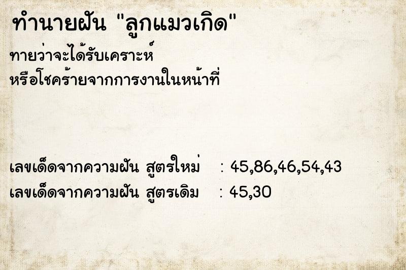 ทำนายฝันลูกแมวเกิด ทำนายฝันทำนายฝันลูกแมวเกิด