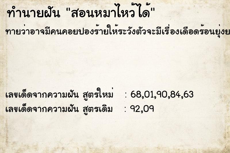 ทำนายฝันทำนายฝันสอนหมาไหว้ได้
